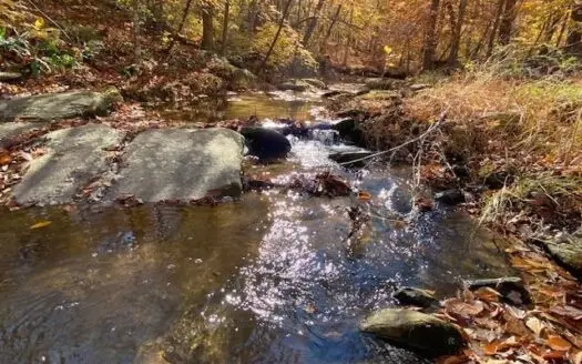 Rural Paradise in Southern Va