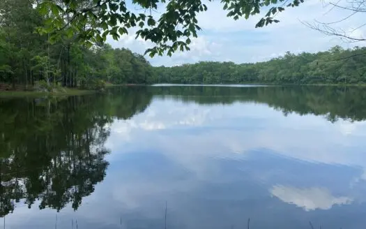 Lake Property for Sale East Texas