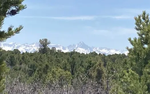 Lot for Sale, Easy Access Town, Montrose, Colorado