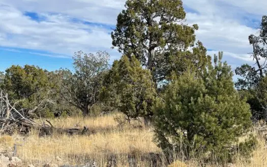 Stunning Views – Recreational Property