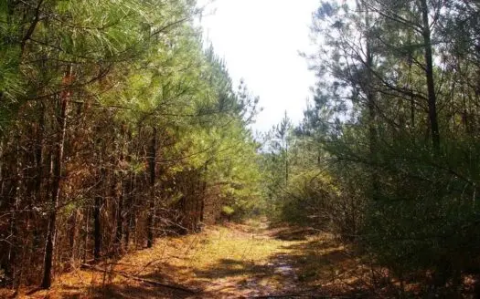 26.40 Acres Land for Sale Ruth, Lincoln County, Ms