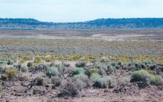 40 Acres – Recreational Property Near Riley or