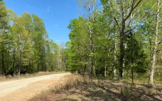 Land for Sale with No Restrictions in Clifton, Tn