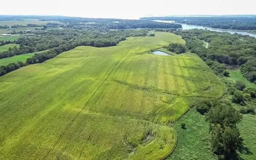 Investment Ag Land for Sale