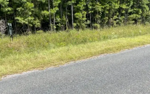 Lowcountry / Hampton County / Future Homesite / Land