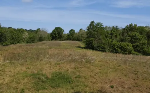 Hunting Land for Sale