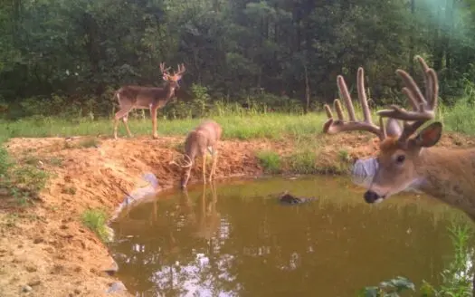 Extraordinary Hunting Land/income Property, Wisconsin Dells,