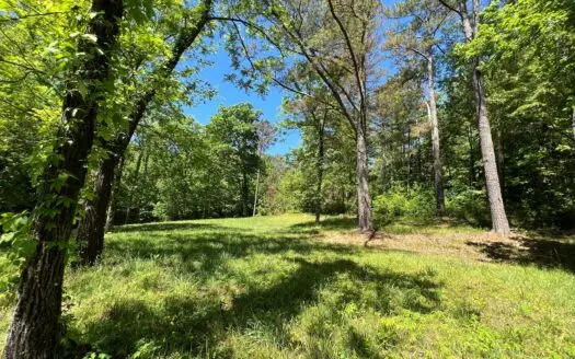Private Land for Sale in Tennessee, Springs, Hunting