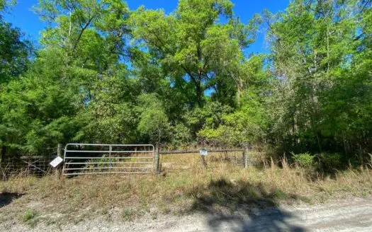 30 Acres – Ira Beas Oasis!