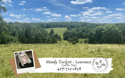 Future Homesite for Sale in the Missouri Ozarks
