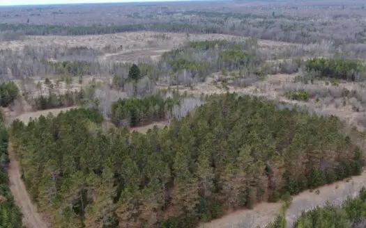 Adams County 80 Acre Recreational and Hunting Getaway