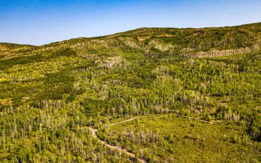 Mountain Land for Sale in Colorado Bordering National Forest