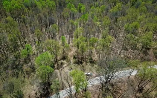 Martin County Hunting Land with Homesite