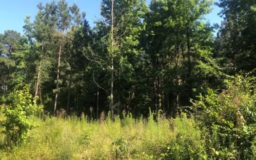 East Texas Land for Sale Timberland and Recreational