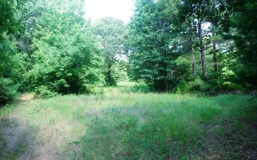 East Texas Sabine Riverfront Recreation and Hunting Land