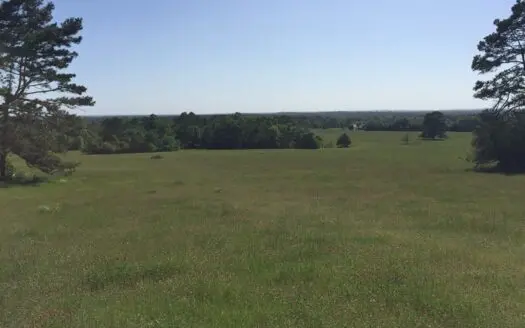 East Texas Rolling Land for Sale in Anderson County