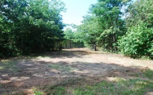 East Texas Wooded Land for Sale in Lindale in Smith County