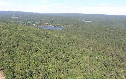 Hunting Land for Sale-se Oklahoma Land for Sale Atoka ,ok