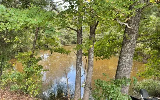 Land for Sale, Morris County, Naples Texas