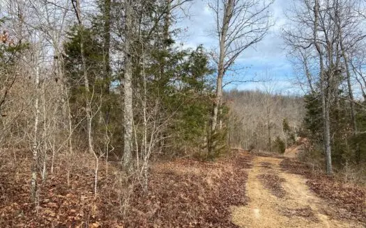 North Arkansas Hunting Land for Sale Near Pocahontas, Ar