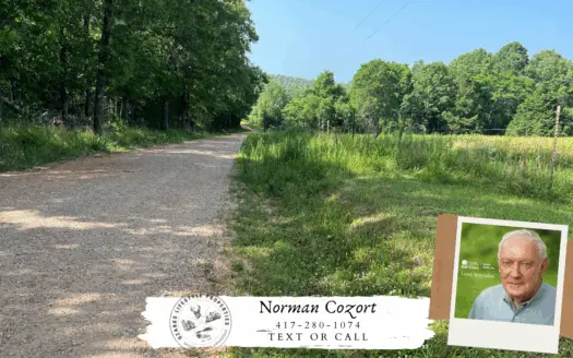 Acreage/homesite/recreational Land for Sale in Thayer, Mo