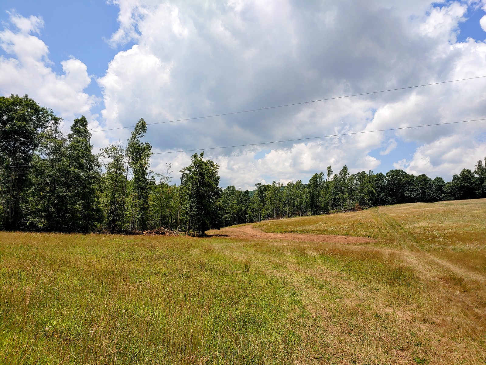 Unrestricted Land For Sale In Willis VA 