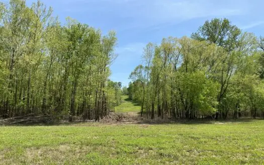 Creekfront Land for Sale in Savannah, Tn on Indian Creek