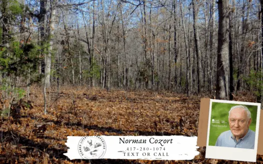 Land/camp/hunt 5.33 Woods