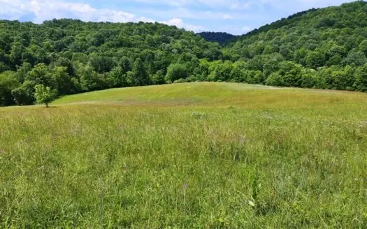 Land for Sale in Rural Retreat, Va