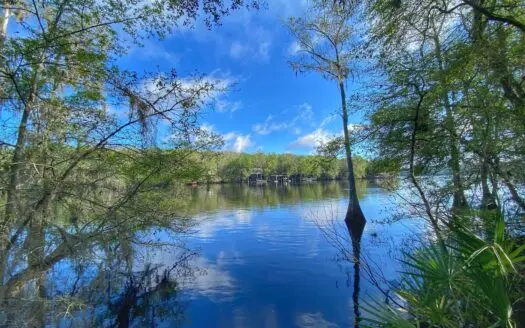 Suwannee River Oasis!