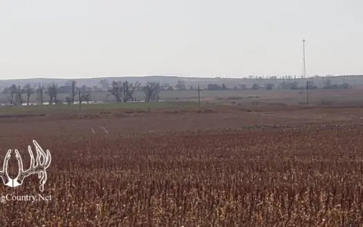 180 Acres M/l. Barber County Kansas Cropland for Sale