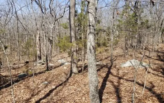 34.4 Acres Of Wooded Recreational / Hunting Property