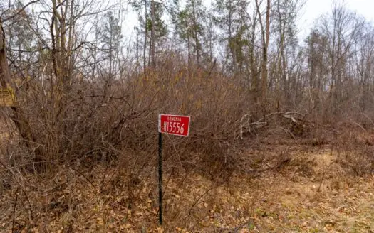 40 Prime Hunting Acres North Of Necedah
