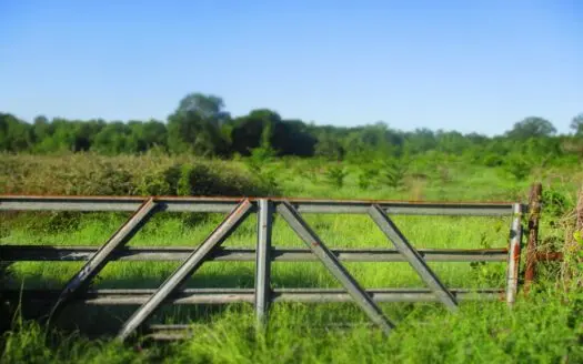 Cherokee County Texas Lands for Sale