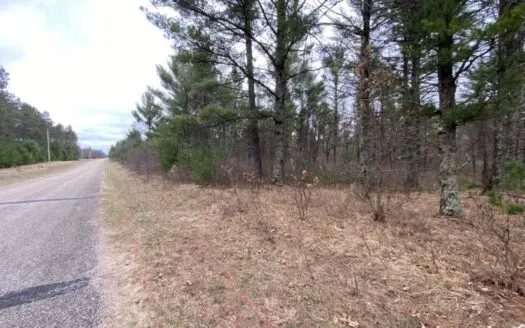 Town Of Big Flats 21.92 Acre Timber Tract for Sale in Adams