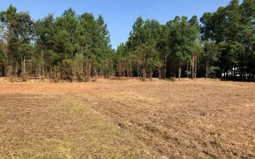 Land for Sale in Beaufort County