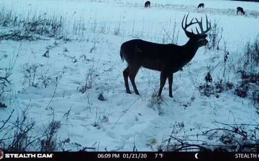 68.14 Acre Juneau County Deer, Turkey & Duck Hunting Haven