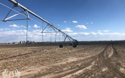 146 Acres M/l Ford Co. Kansas Irrigated & Dry Land for Sale