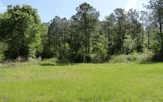 Rusk Texas Lands for Sale