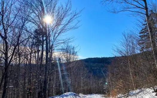 131 ± Acres for Sale in Temple, Maine