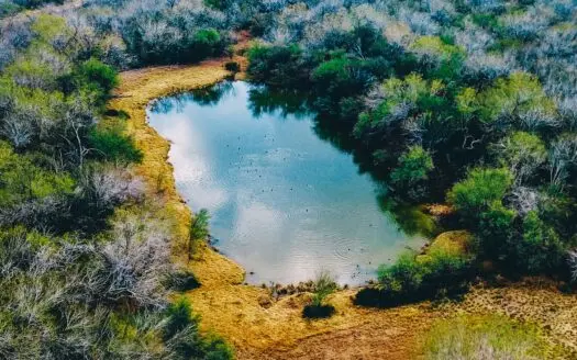 South Texas Hunting Ranch / Golden Triangle!