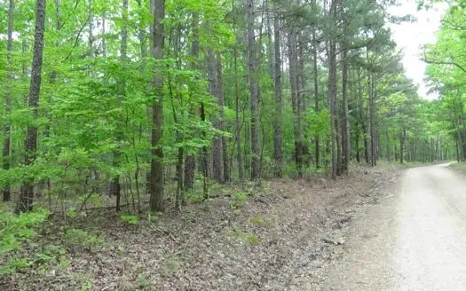 Wayne County Missouri Land for Sale