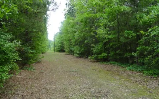 Harrison County Texas Lands for Sale