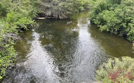 Thunder Bay River Frontage on 1.65 Acres in Atlanta, Mi