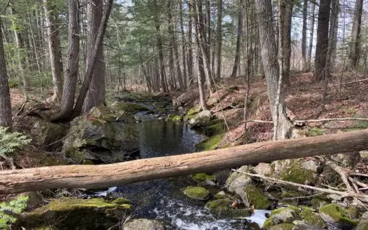 Maine Timber  Hunting – Development Land for Sale