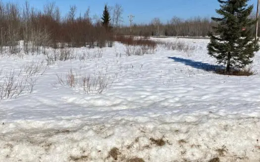 Land Lot for Sale Baudette, Mn Lake Of the Woods County