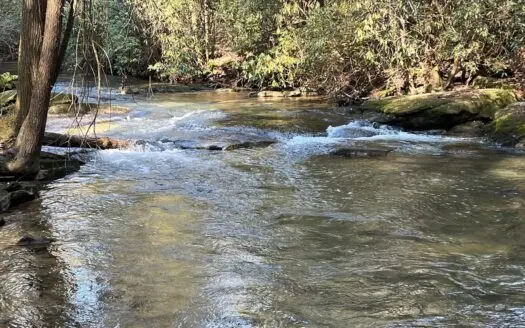 Waterfront Hunting Property with Lodge for Sale in Tennessee