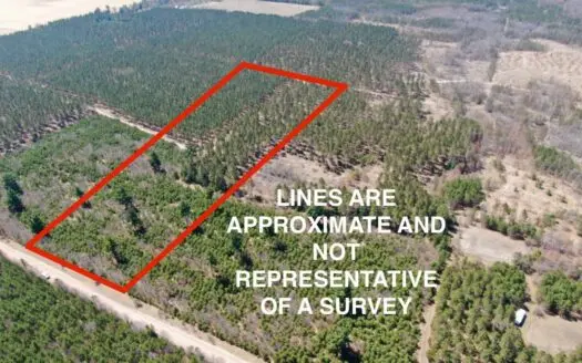 Town Of Big Flats 22.354 Acre Timber Lot for Sale in Adams C