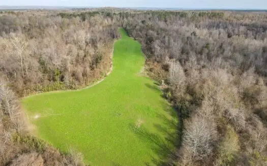 Hunting Land and Camp for Sale in Claiborne County, Ms