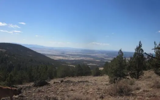 60 Acres for Sale Bordered by Modoc National Forest!